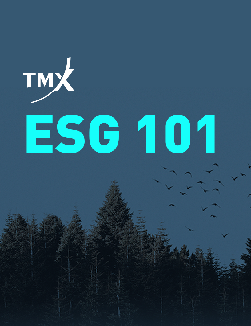 ESG 101 ESG 101